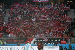 2.BL - 1860 München - FC Ingolstadt 04 - 4:1 - Schanzer Fans Fahnen Schal