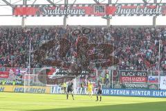 2.BL - FC Ingolstadt 04 - SC Paderborn - Fans Fahnen Kurve