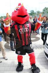 Das FC Ingolstadt Maskottchen 