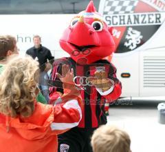 Das FC Ingolstadt Maskottchen 