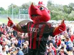 Das FC Ingolstadt Maskottchen 