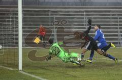 Testspiel - FC Ingolstadt 04 - SpVgg Unterhaching - Collin Quaner erzielt den Ausgleich zum 1:1 Tor Jubel