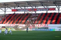 2.BL - FC Ingolstadt 04 - Energie Cottbus 2:2 - Fan Jubel Fahnen Choreographie