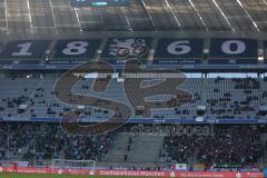 2. BL - FC Ingolstadt 04 - 1860 München 1:1 - Ingolstädter Fans im riesigen Stadion