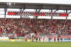 2.BL - FC Ingolstadt 04 - Energie Cottbus 2:2 - Fan Kurve Fahnen Jubel