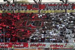 2.BL - FC Ingolstadt 04 - 1860 München - 0:2 - Fan Choreographie Fahnen Spruchband