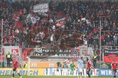 2. BL - FC Ingolstadt 04 - MSV Duisburg 0:1 - Fans Fahnen