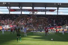 2. BL - FC Ingolstadt 04 - Hertha BSC Berlin 1:1 - Fans Fankurve Audi Sportpark Spielfeld