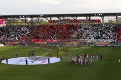 2.BL - FC Ingolstadt 04 - 1860 München - 0:2 - Fan Choreographie Fahnen Spruchband