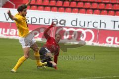 2. BL - FC Ingolstadt 04 - SG Dynamo Dresden 1:1 - Torschuß von Moritz Hartmann (9) und das 1:1