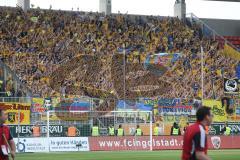 2. BL - FC Ingolstadt 04 - Eintracht Braunschweig 0:1 - Braunschweiger Fans