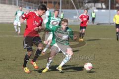 Regionalliga Süd - FC Ingolstadt 04 II - Greuther Fürth II 3:0 - links Azur Velagic