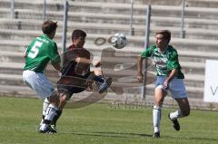 U17 - FC Ingolstadt 04 - SpVgg Greuther Fürth II