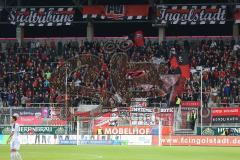 2. BL - FC Ingolstadt 04 - VfR Aalen 2:0 - Fans Jubel Fahnen