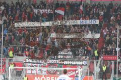 2. BL - Saison 2013/2014 - FC Ingolstadt 04 - FSV Frankfurt - 0:1 - Fans Spruchband Jubel Fahnen