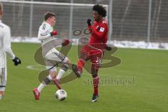 2. BL - Testspiel - FC Ingolstadt 04 - FC Bayern II - 2:0 - rechts Caiuby Francisco da Silva (31)