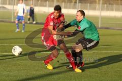 2. BL - Testspiel - FC Ingolstadt 04 - FC Carl Zeiss Jena - 2013/2014 - links Collin Quaner (11) im Kampf um den Ball mit Torwart Stefan Schmidt, erzielt den 1:1 Ausgleich Tor