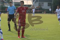 2. BL - FC Ingolstadt 04 - Saison 2013/2014 - Testspiel - RW Erfurt - Alfredo Morales (6)