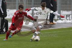 2. BL - Testspiel - FC Ingolstadt 04 - FC Bayern II - 2:0 - links Neuzugang Stefan Lex (14) und rechts Dennis Chessa