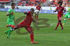 2. BL - FC Ingolstadt 04 - Saison 2013/2014 - Testspiel - Borussia Mönchengladbach - 1:0 - Ziehz ab Roger de Oliveira Bernardo (8)