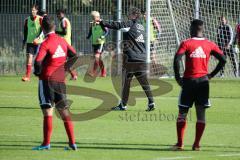 2. BL - FC Ingolstadt 04 - Training - Michael Henke leitet das Training