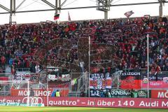 2. Bundesliga - FC Ingolstadt 04 - 1. FC Heidenheim - Spiel ist aus, Sieg Spitzenreiter Fans Fahnen Schals