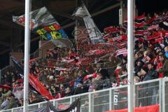 2. BL - FC Ingolstadt 04 - FC St. Pauli - Fans Sieg Schal Fahnen