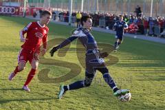 2. BL - Testspiel - FC Ingolstadt 04 - SpVgg Unterhaching - Alfredo Morales (6 - FC Ingolstadt 04) und links Mario Erb