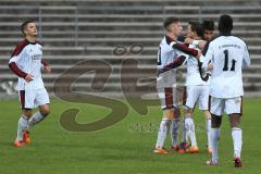 Regionalliga Bayern - FC Ingolstadt 04 II - SV Seligenporten - Ausgleich Tor 1:1 durch Andreas Buchner (16), Jubel