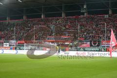 1. BL - Saison 2015/2016 - FC Ingolstadt 04 - Hamburger SV - Fans - Choreo - Foto: Jürgen Meyer