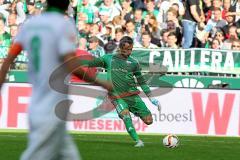 1. BL - Saison 2015/2016 - Werder Bremen - FC Ingolstadt 04 - Ramazan Özcan (#1 FC Ingolstadt 04) - Foto: Jürgen Meyer