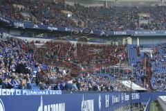 1. BL - Saison 2015/2016 - Schalke 04 - FC Ingolstadt 04 -  Die FCI Fans in der Veltins Arena - Foto: Jürgen Meyer