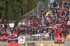 1. Bundesliga - Fußball - SV Darmstadt 98 - FC Ingolstadt 04 - FCI Fans Jubel Fahnen Kurve Schal