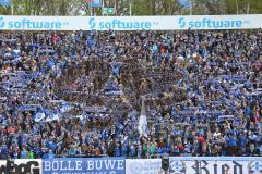 1. Bundesliga - Fußball - SV Darmstadt 98 - FC Ingolstadt 04 - Darmstadt Fans Fahnen Jubel