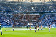 1. BL - Saison 2015/2016 - Schalke 04 - FC Ingolstadt 04 -  Die FCI Fans in der Veltins Arena - Foto: Jürgen Meyer