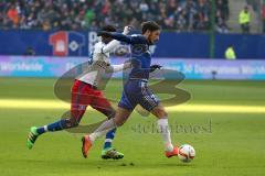 1. Bundesliga - Fußball - Hamburger SV - FC Ingolstadt 04 - Mathew Leckie (7, FCI) wird von Drmic, Josip (18 HSV) verfolgt