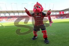 1. Bundesliga - Fußball - FC Ingolstadt 04 - VfL Wolfsburg -    Maskottchen Schanzi
