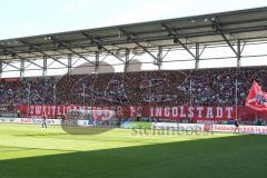 1. Bundesliga - Fußball - FC Ingolstadt 04 - Borussia Dortmund - Fans Spruchband Choreographie