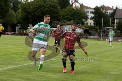 Freundschaftsspiel - Saison 2015/2016 - FC Ingolstadt 04 - SpVgg Greuther Fürth - Elias Kachunga (#25 FC Ingolstadt 04) - Franke Marcel weiß #28 Greuther Führt - Foto: Jürgen Meyer