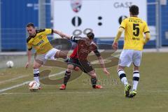 Regionalliga Bayern - FC Ingolstadt 04 II - SpVgg Bayreuth - links Anton Makarenko (SpVgg) und mitte Maurice Multhaupt (8) und links Bastian Horter (5 SpVgg)