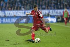 1. Bundesliga - Fußball - FC Schalke 04 - FC Ingolstadt 04 - Markus Suttner (29, FCI)