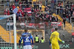 1. Bundesliga - Fußball - SV Darmstadt 98 - FC Ingolstadt 04 - mitgereiste Fans Ingolstadt Fahnen Jubel Block Kurve