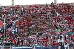 1. Bundesliga - Fußball - FC Ingolstadt 04 - Hertha BSC Berlin - Fans Schal Fahnen Jubel Choreo