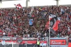 1. Bundesliga - Fußball - FC Ingolstadt 04 - TSG 1899 Hoffenheim 1:2 - Fans Jubel Fahnen Bloch Tribüne Stadion