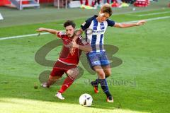 1. BL - Saison 2016/2017 - FC Ingolstadt 04 - Hertha BSC - Mathew Leckie (#7 FCI) - Genki Haraguchi (#24 Hertha) - Foto: Meyer Jürgen