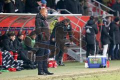 1. Bundesliga - Fußball - FC Ingolstadt 04 - Hamburger SV HSV - Cheftrainer Maik Walpurgis (FCI) konzentriert