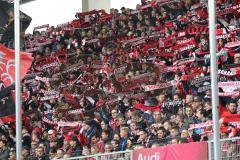 1. Bundesliga - Fußball - FC Ingolstadt 04 - Borussia Dortmund - Fans Choreo Schal Fahnen Jubel