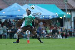 1. Bundesliga - Fußball - Testspiel - FC Ingolstadt 04 - VfB Eichstädt - hinten Florent Hadergjonaj (33, FCI) vorne Diallo Mamadou