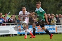 1. Bundesliga - Fußball - Testspiel - FC Ingolstadt 04 - VfB Eichstädt - links Florent Hadergjonaj (33, FCI)