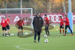 1. Bundesliga - Fußball - FC Ingolstadt 04 - Training - Interimstrainer Michael Henke übernimmt Training bis neuer Cheftrainer gefunden ist, mitte